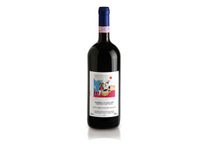 PHOTO PORTFOLIO_BARBERA RISERVA VIGNETO POZZO ANNUNZIATA_ROBERTO VOERZIO